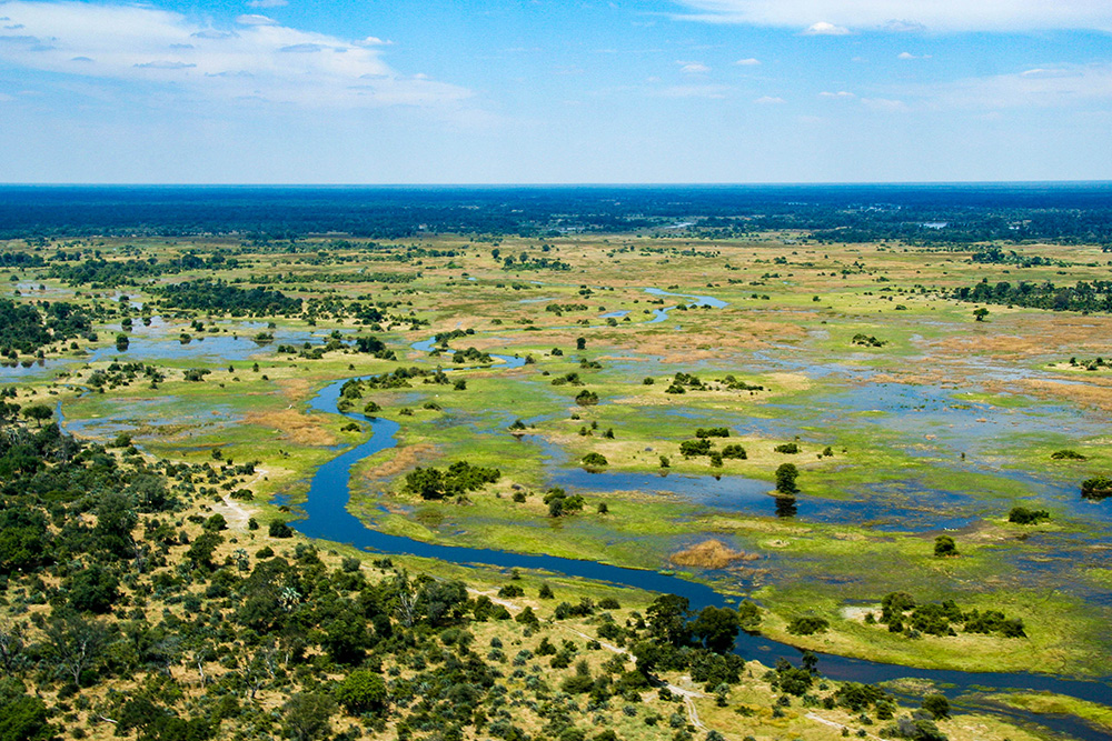 detroit-okavango-botswana