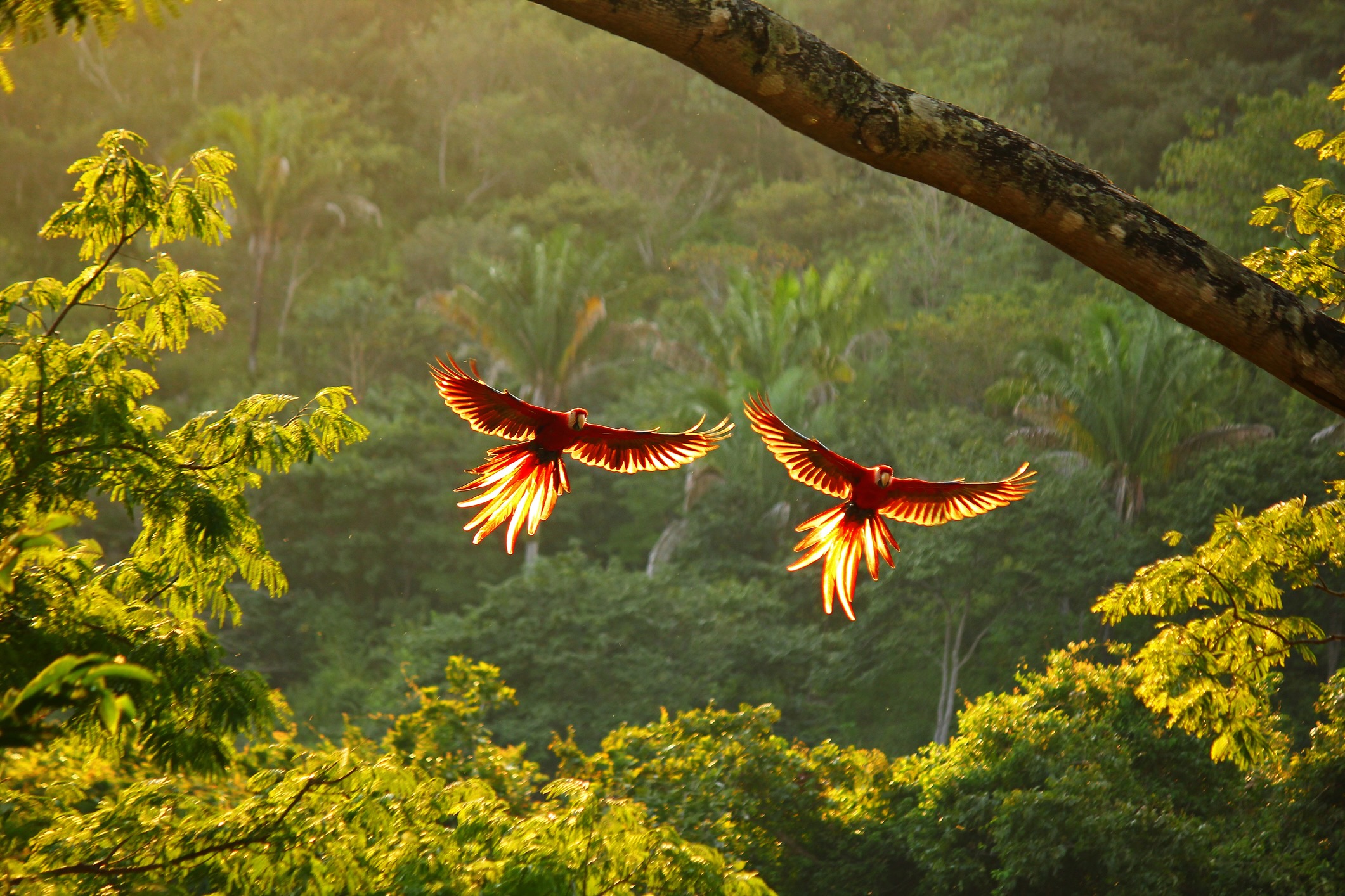 Voyage sur mesure au Costa Rica