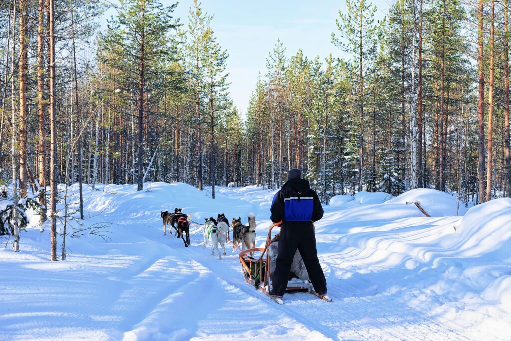 8 raisons de voyager en Norvège en hiver