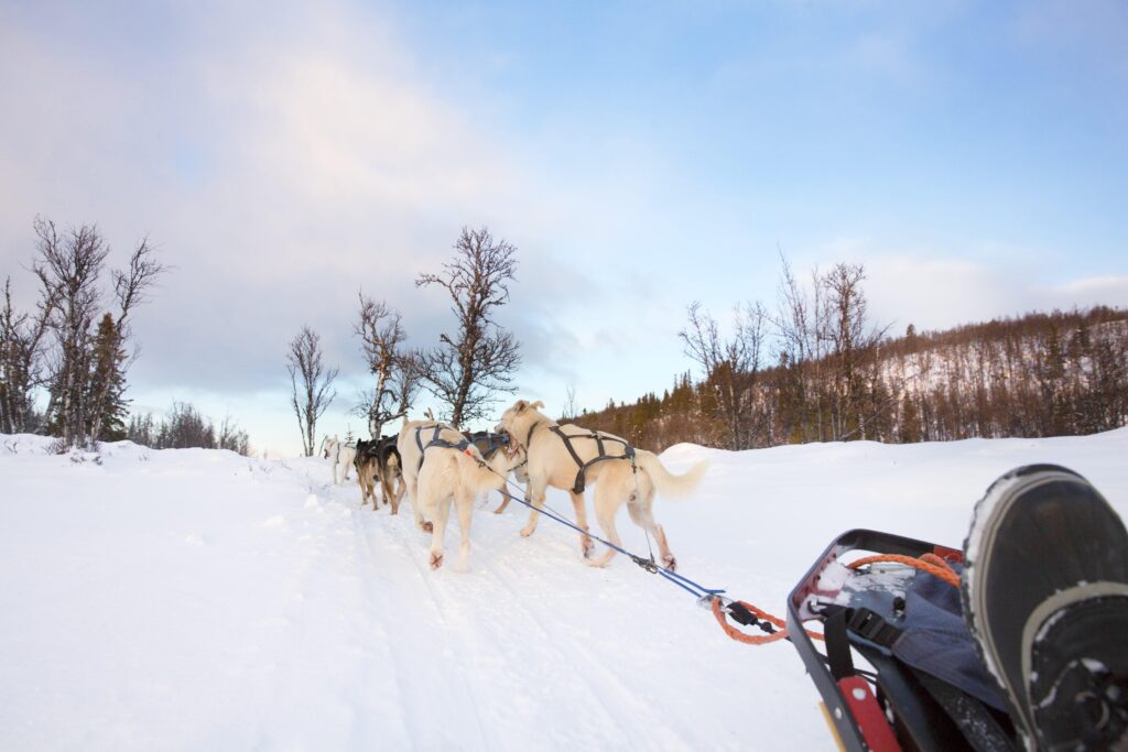 Voyage de noces en Norvège : souvenirs de notre Travel designer