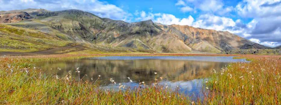 Islande en été : nos activités et expériences insolites