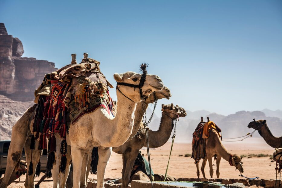 Voyage en Jordanie sur mesure : luxe et aventure