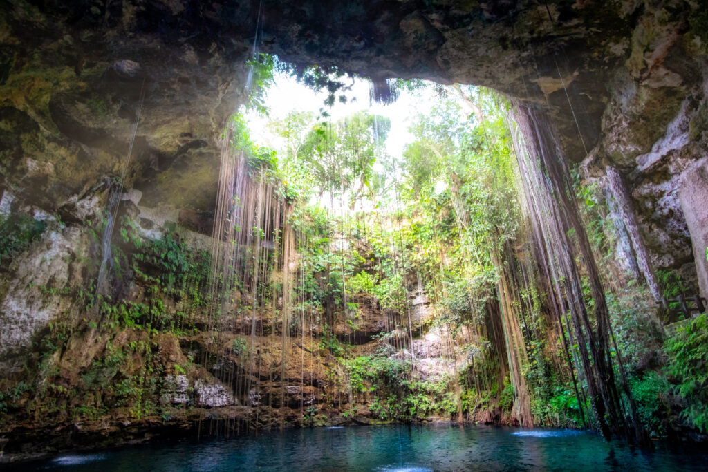 Désert du Mexique et autres paysages extrêmes