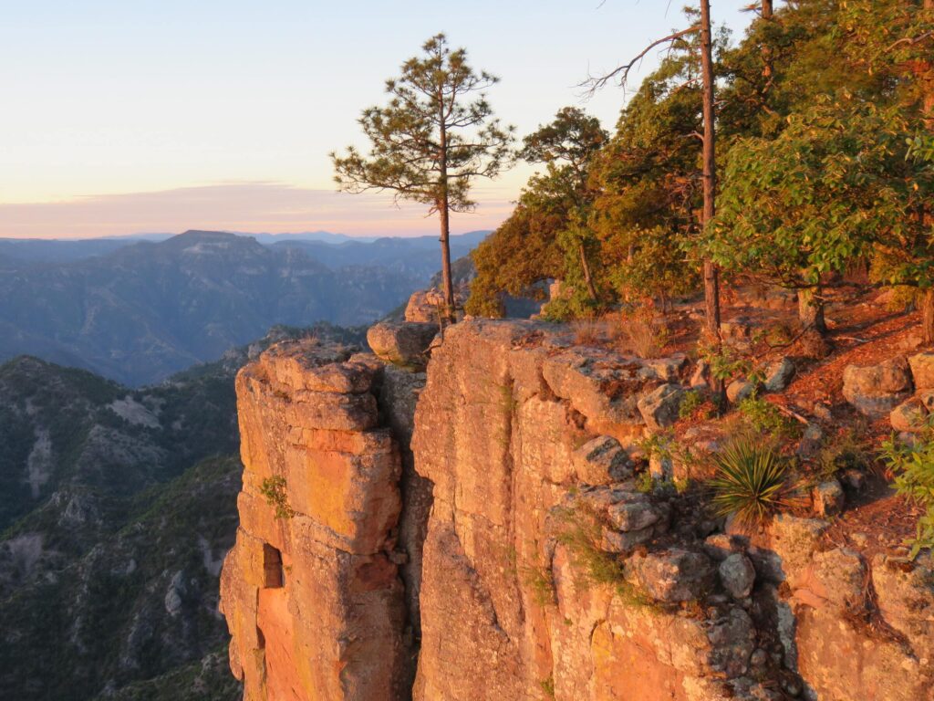 Désert du Mexique et autres paysages extrêmes