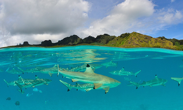 Voyage en famille : Huahine, l’île confidentielle de Polynésie