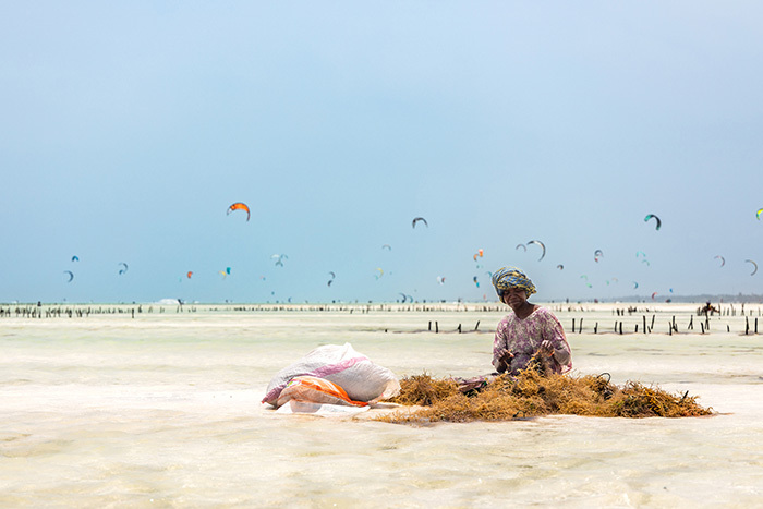 5 plages incontournables de Zanzibar pour votre lune de miel