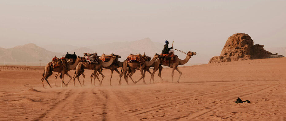 Jordanie : 4 wadis méconnus à visiter