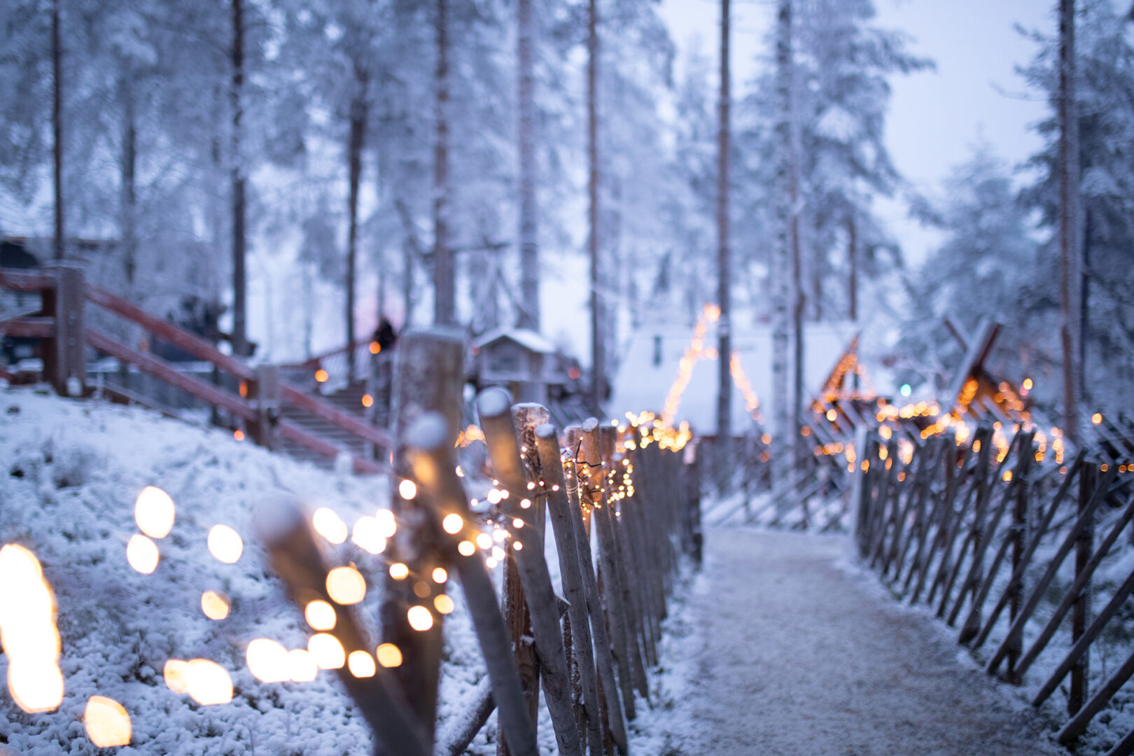 Passer Noël en Laponie en famille