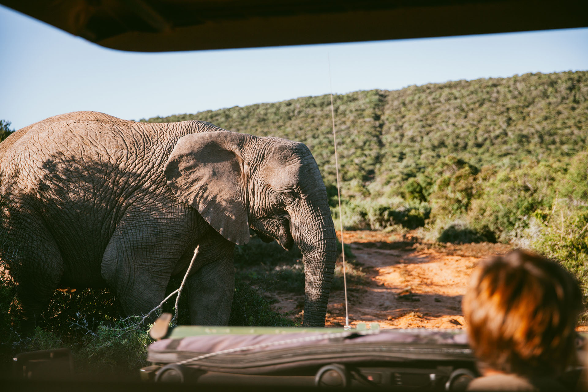 Voyage en famille en Afrique du Sud