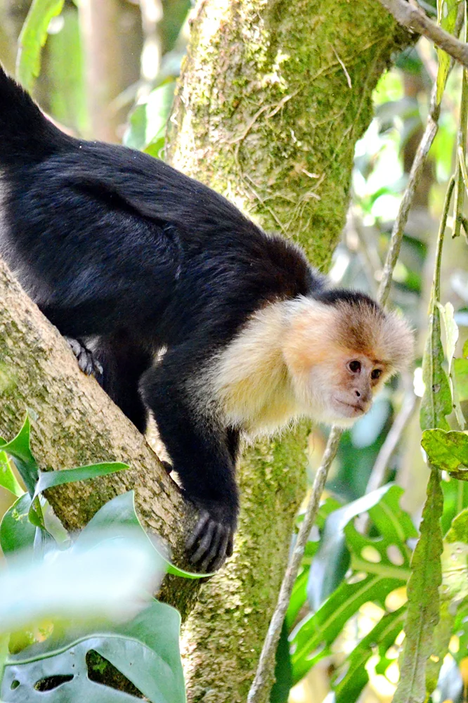 Vacances d’hiver : 10 destinations à explorer en famille