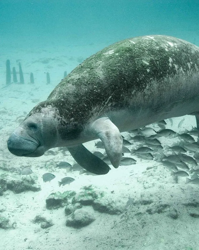 Vacances d’hiver : 10 destinations à explorer en famille