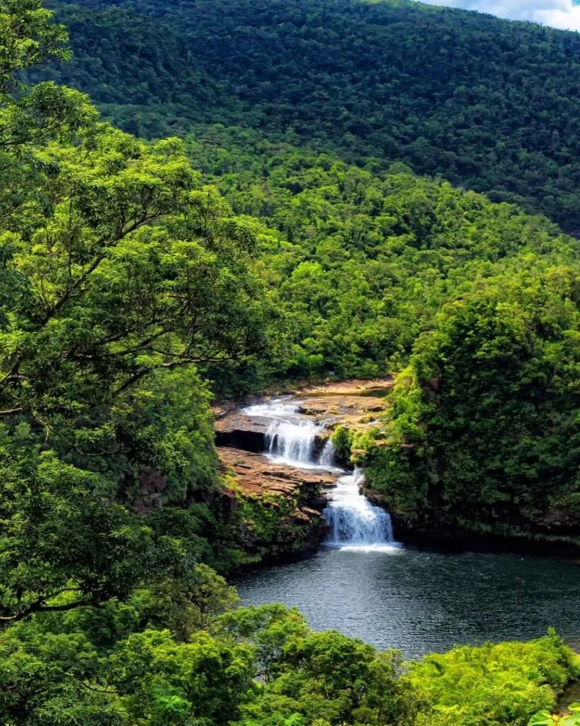 Akiko Ishigaki : renouer avec la nature au Japon