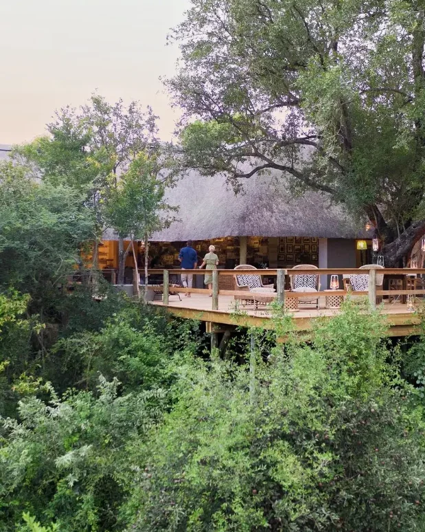 Quand partir en safari