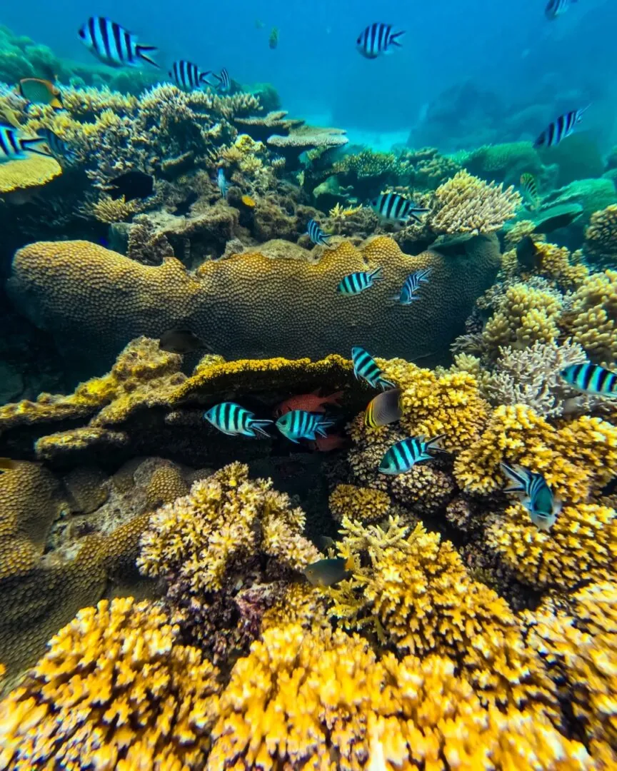 Moorea : Le lagon comme premier récit