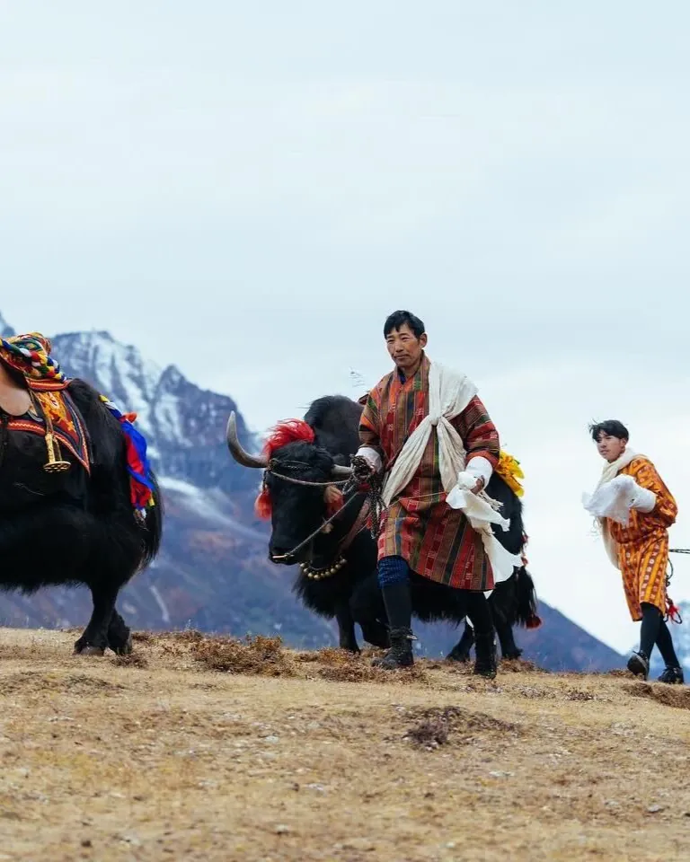 Voyager au rythme des grands rendez-vous culturels de 2026