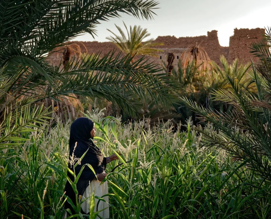 L’hospitalité comme expérience vécue, le fil invisible de Thierry Teyssier