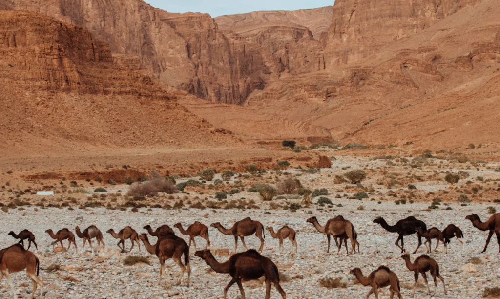 L’hospitalité comme expérience vécue, le fil invisible de Thierry Teyssier