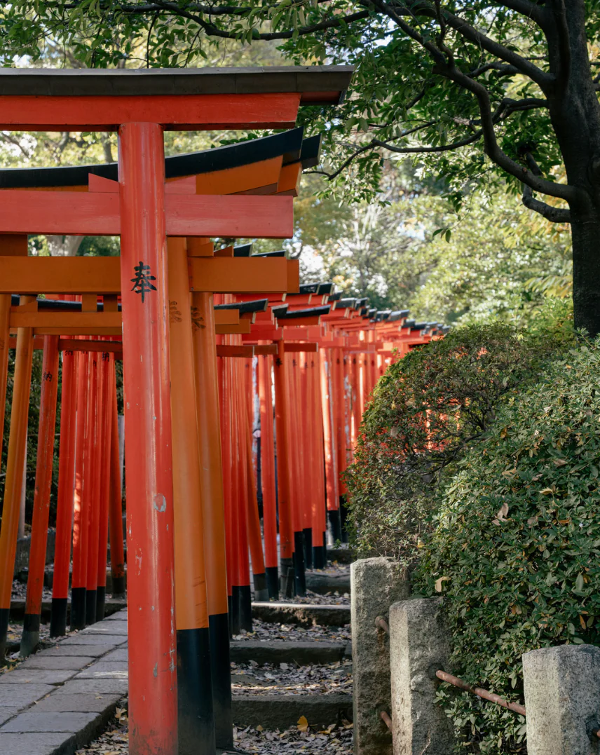 Tokyo - Jardins impériaux et cuisine japonaise