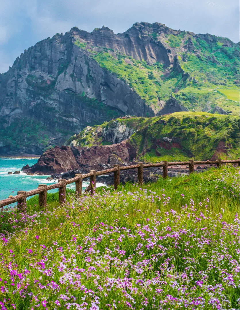 Jeju – Île volcanique et visions contemporaines