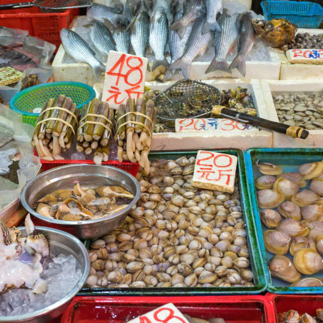 De la Corée créative au Japon volcanique, Séoul & l’île de Kyushu