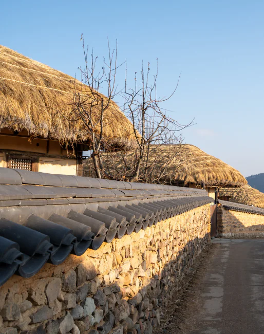 Pourquoi visiter la Corée du Sud ? 5 expériences uniques entre Séoul et Jeju