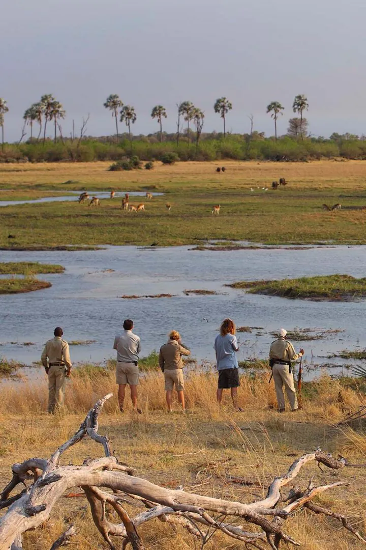 Duba Plains - Safari à pied 